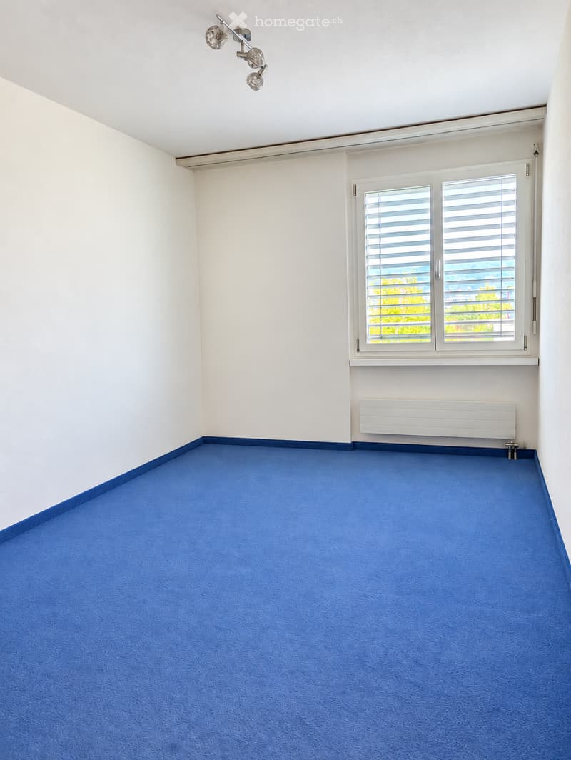 Empty room with blue carpet, white walls, a window with blinds, and a radiator below the window.
