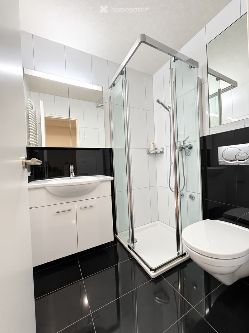 Modern bathroom with black and white tiles, a glass-enclosed shower, a white sink with a mirror, and a toilet.