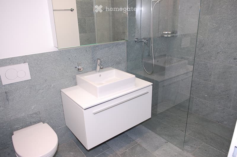 Modern bathroom with a white sink on a cabinet, a toilet, a glass-enclosed shower, and a large mirror above the sink.