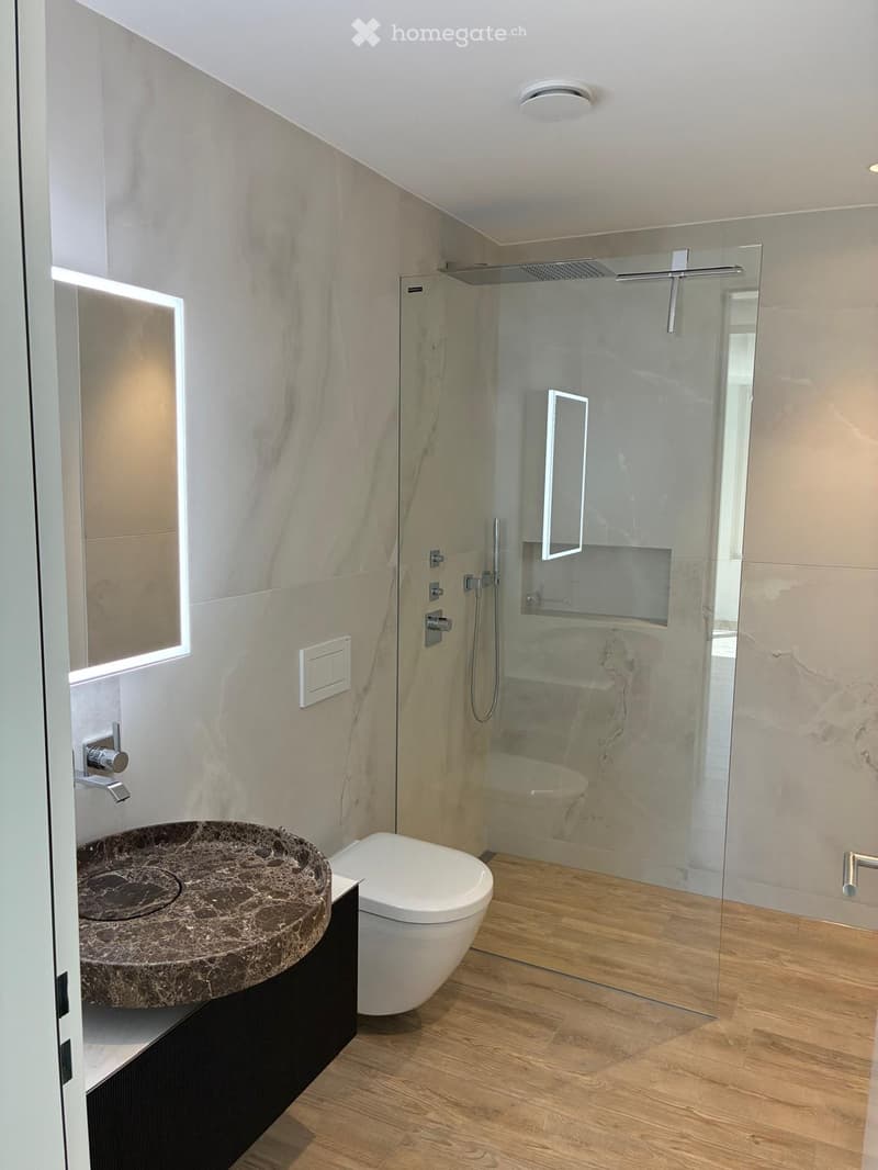 Modern bathroom with a marble sink, toilet, glass-enclosed shower, and wooden flooring.