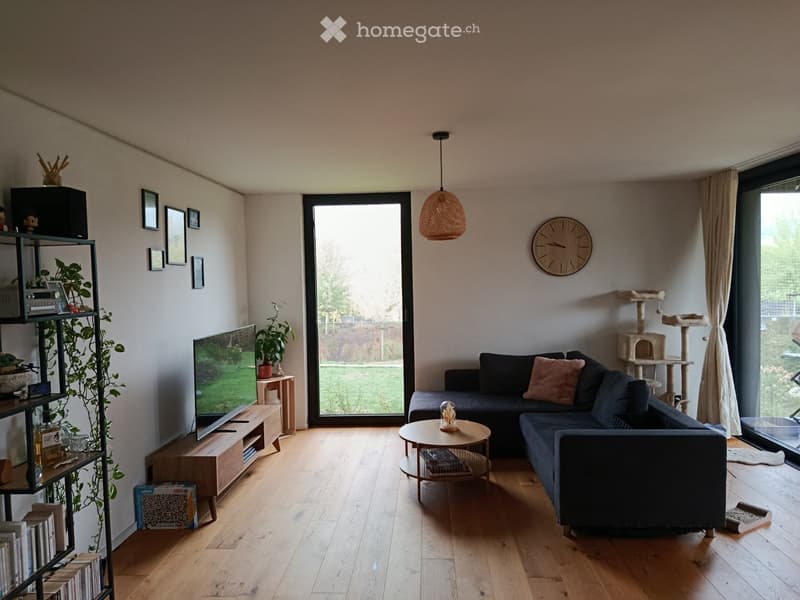 Modern living room with wooden flooring, large window, sofa, coffee table, cat tree, shelf, television, and plant.