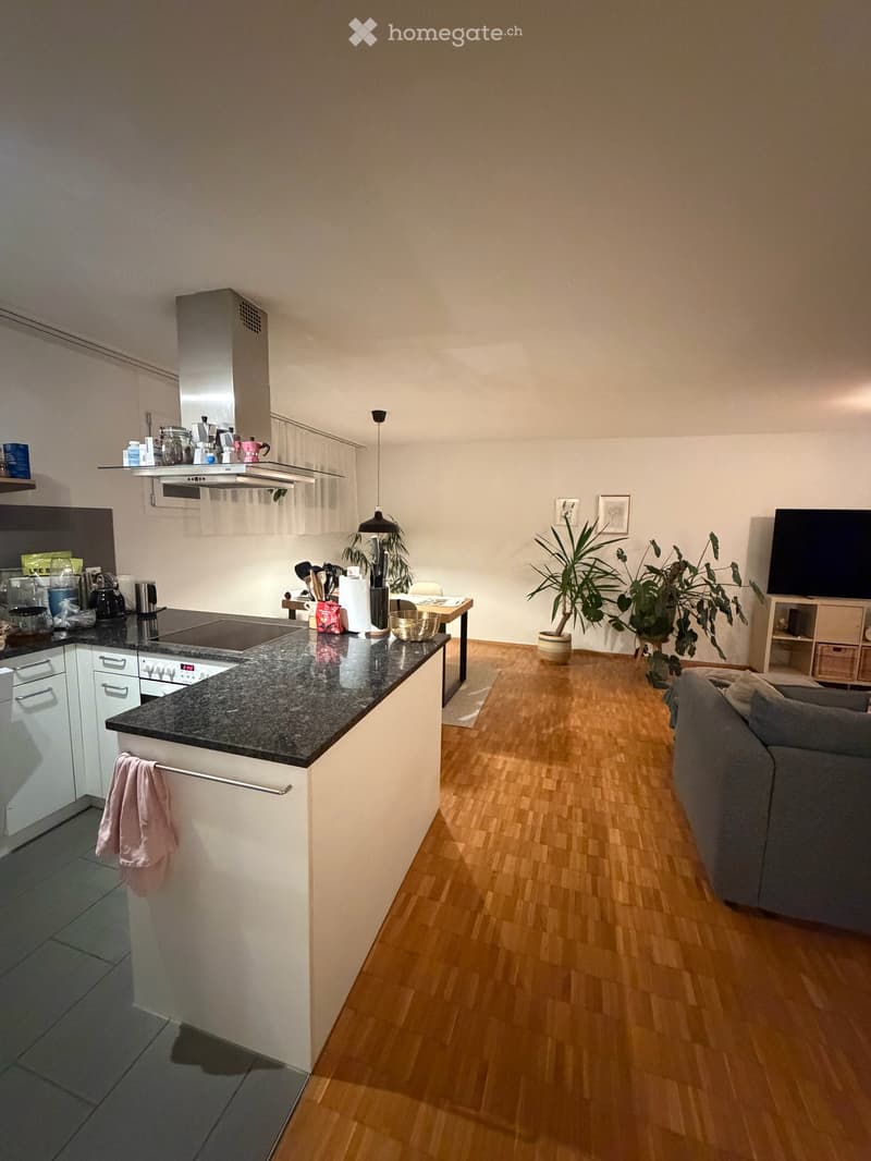 Wunderschöne, helle Attikawohnung mit grosser Terrasse (1)