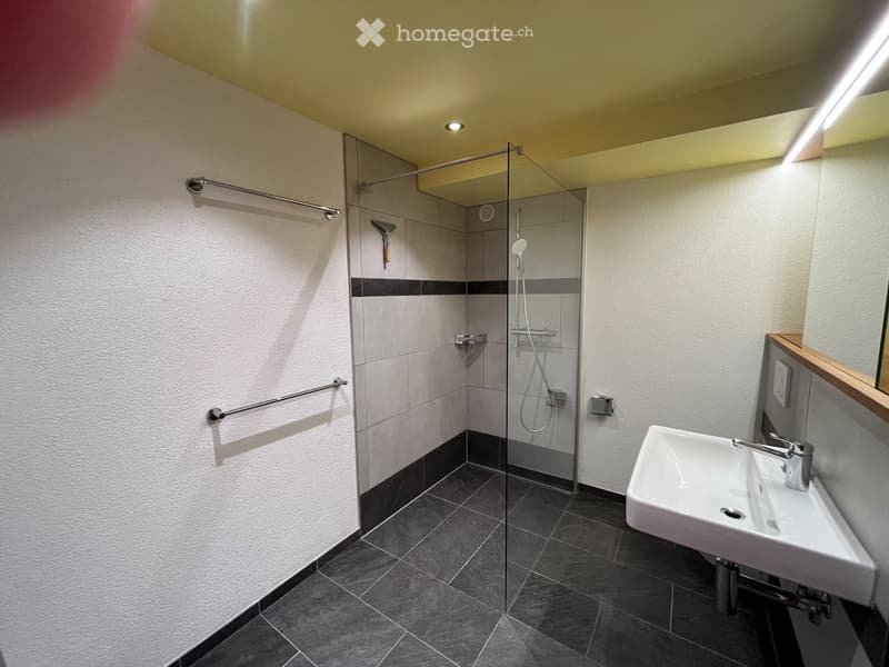Modern bathroom with a glass-enclosed shower, a white sink with a chrome faucet, and towel racks on the wall.