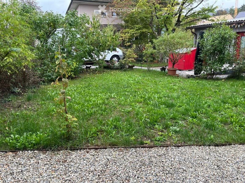 Lush garden with green grass, trees, shrubs, a small shed, and a parked car in the background.