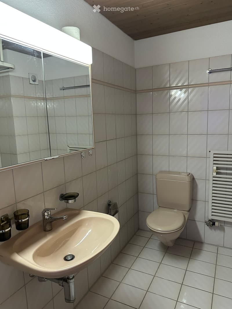 Clean bathroom with a sink, toilet, mirror, radiator, and a cup on the sink counter.