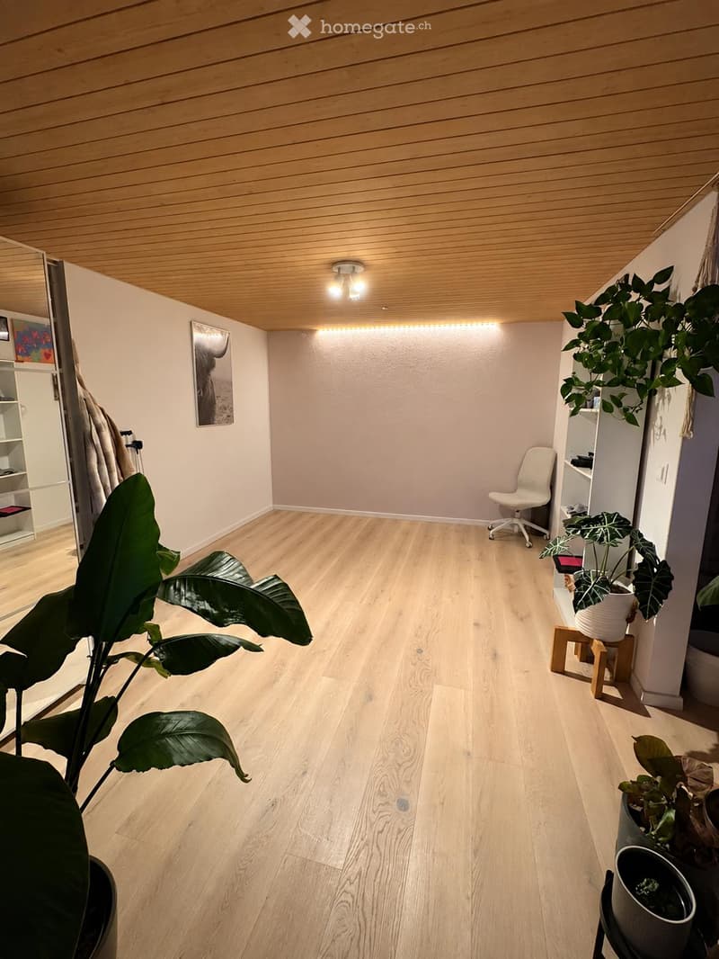Bright, minimalist room with light wooden flooring and a wooden ceiling. Features a white chair, several potted plants, a shelf with items, and a picture frame on the wall.