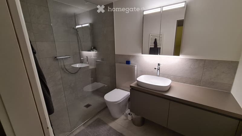 Modern bathroom with a glass-enclosed shower, a white toilet, a sink with a modern faucet, and a large mirror with built-in lighting.