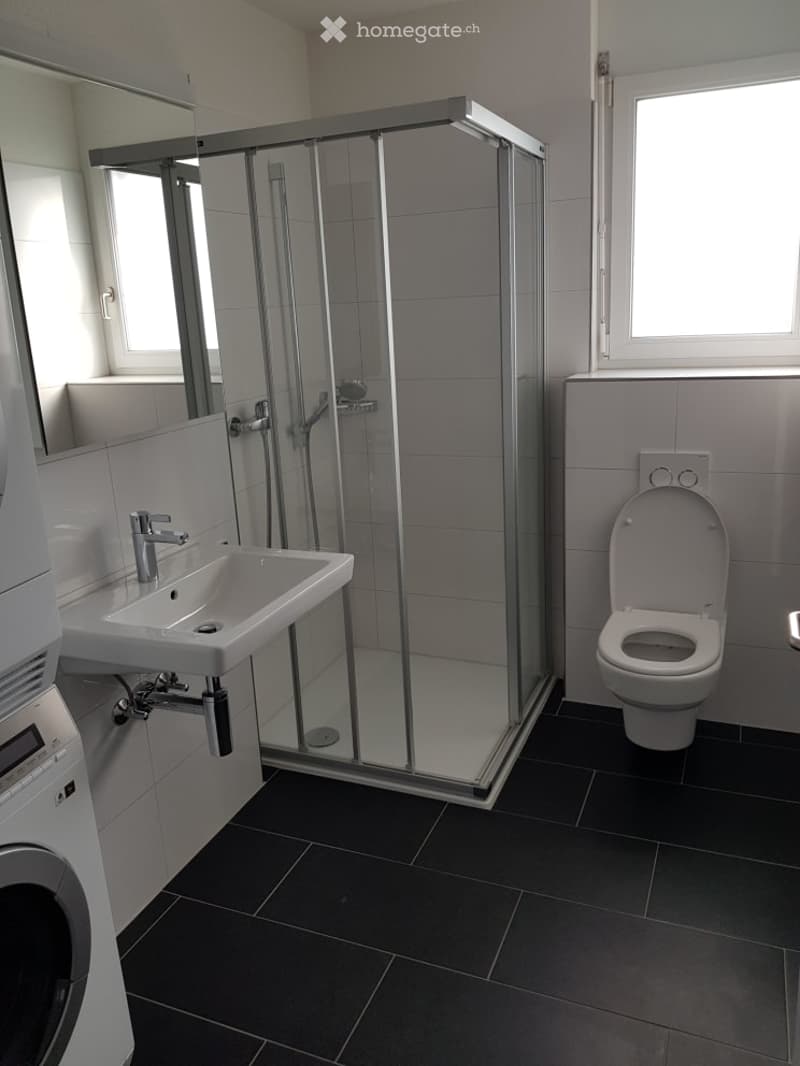 Modern bathroom with a glass-enclosed shower, a white sink with a chrome faucet, a toilet, and a large mirror above the sink. The floor is covered with dark tiles.