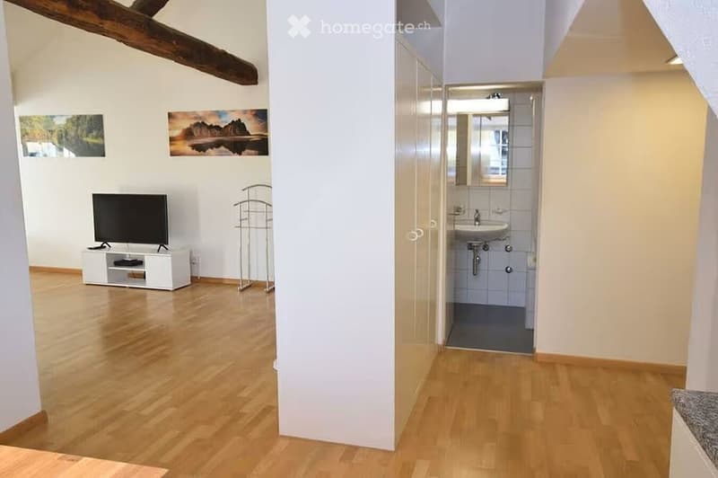 The image shows a furnished room with a TV on a stand, a mirror, and a sink in the background. The room has wooden flooring and white walls.