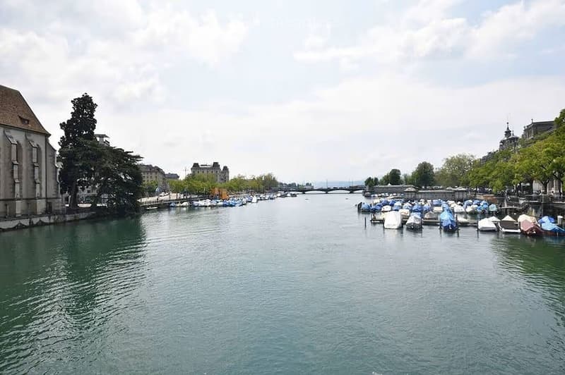 A scenic view of a river with docked boats, trees, and buildings along the riverbanks.