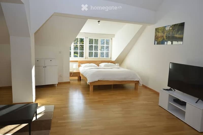 Bright, modern bedroom with wooden flooring, large windows, a neatly made bed, a TV on a stand, and a small cabinet.