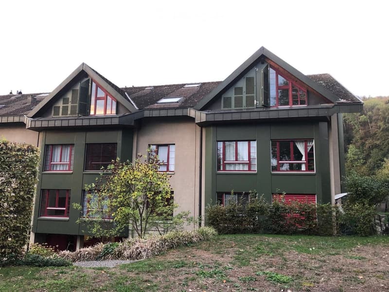 Two-story house with green siding, red-framed windows, and a sloped roof with dormer windows. The house is surrounded by a well-maintained garden with shrubs and trees.