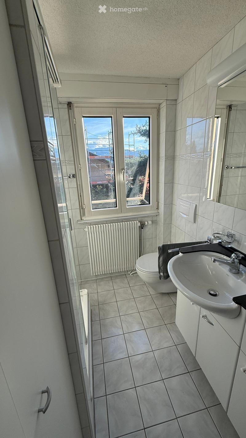 Modern bathroom with white tiled walls and floor, a sink with a faucet, a toilet, a radiator, and a glass-enclosed shower area with a window offering a scenic view.