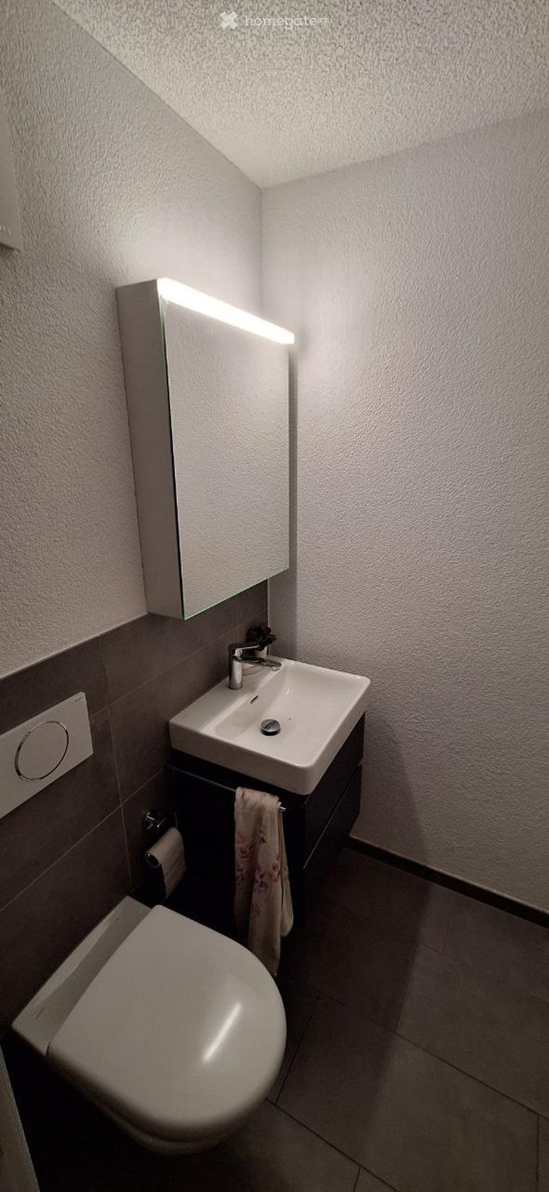 Modern, compact bathroom with a white sink, mirror cabinet, toilet, and a towel hanging on the cabinet.