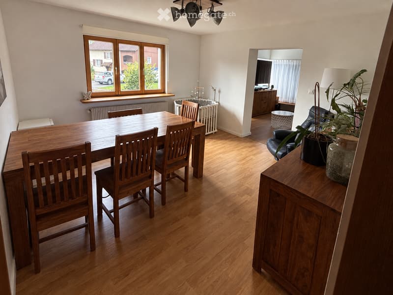 Bright dining area with wooden flooring, a large wooden dining table surrounded by chairs, a sofa with a plant, and a cabinet with a lamp.