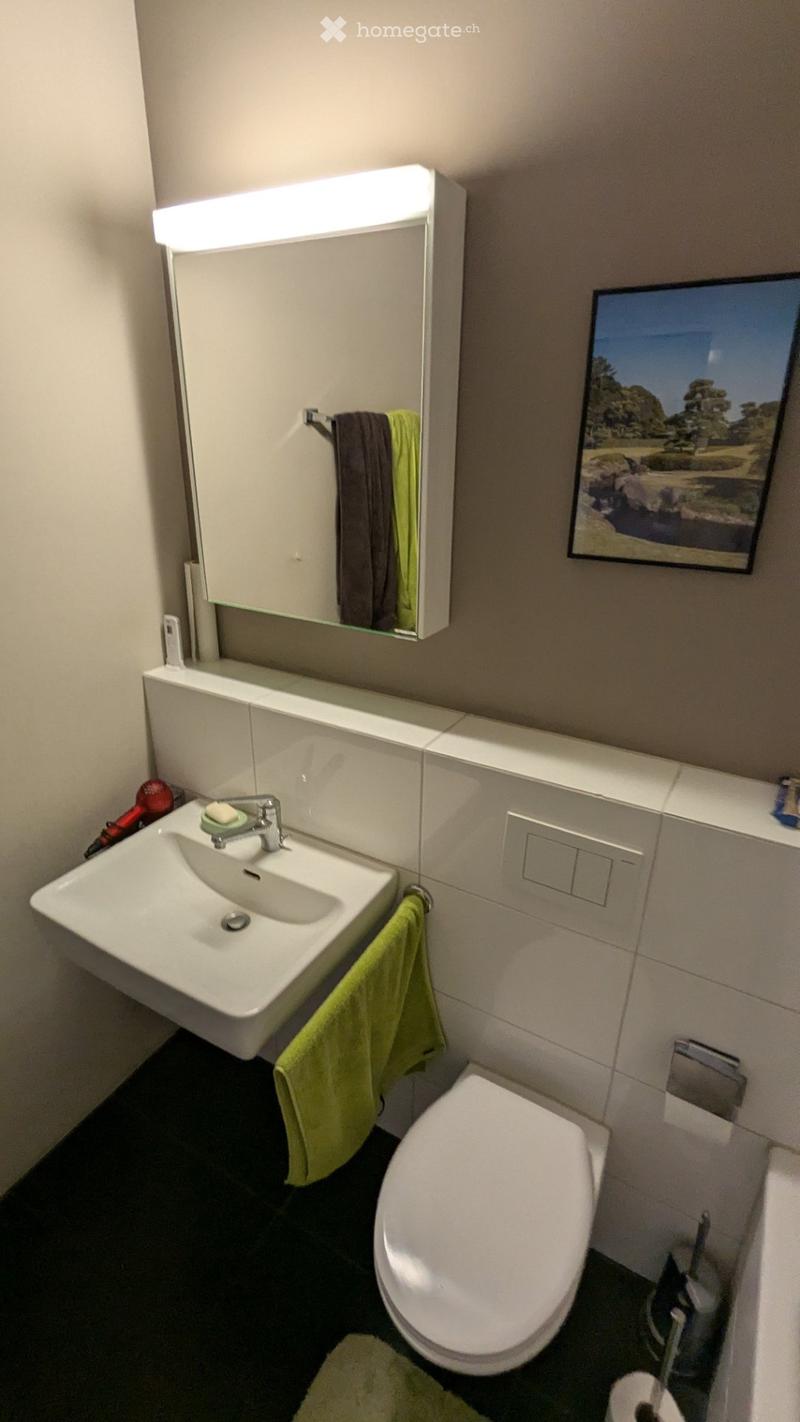 Modern bathroom with a white sink, mirror, toilet, and a framed picture on the wall.