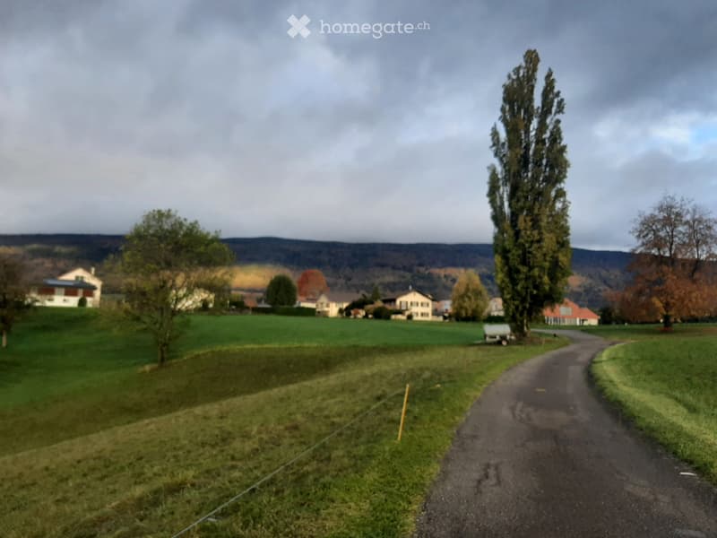 Rural landscape with a dirt road, grassy field, scattered trees, and distant houses under a cloudy sky.