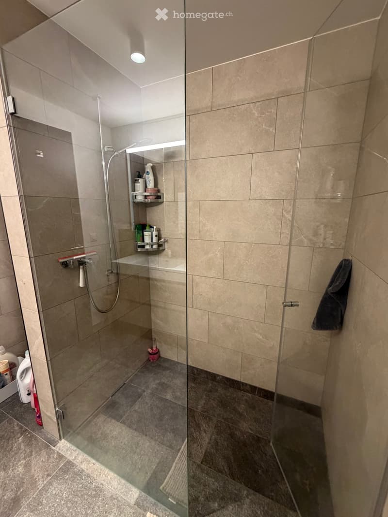 Modern bathroom with a glass-enclosed shower, built-in shelf, and tiled walls and floor.