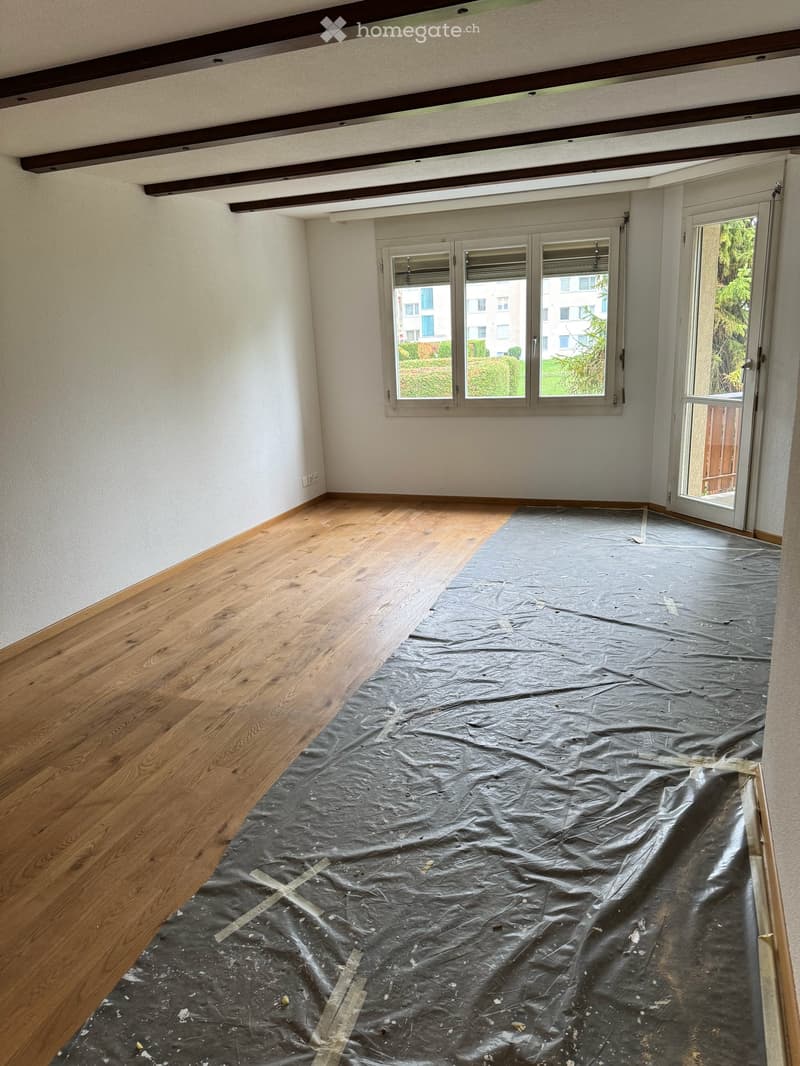 Wohnung in Geuensee (10)