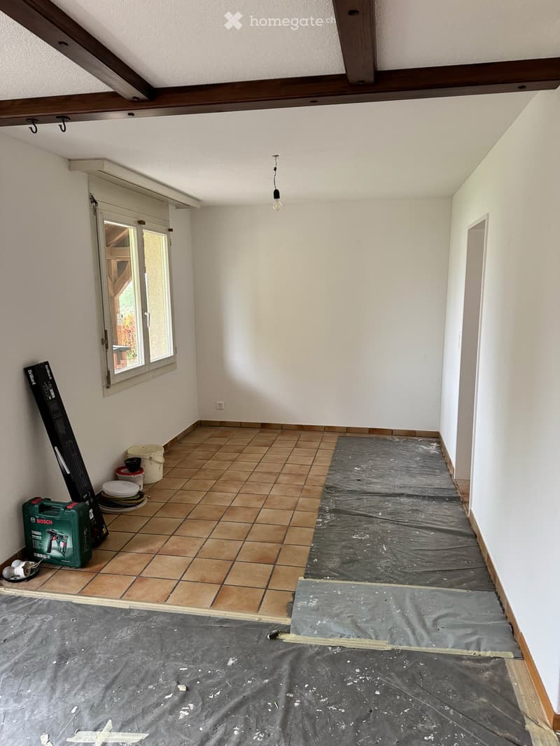 Wohnung in Geuensee (9)
