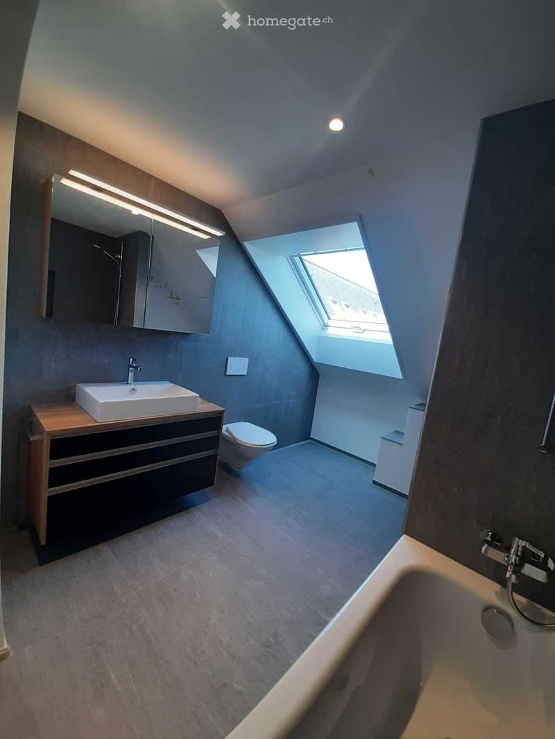 Modern bathroom with a sink, toilet, bathtub, and mirror. Features a skylight window and sleek, contemporary design.