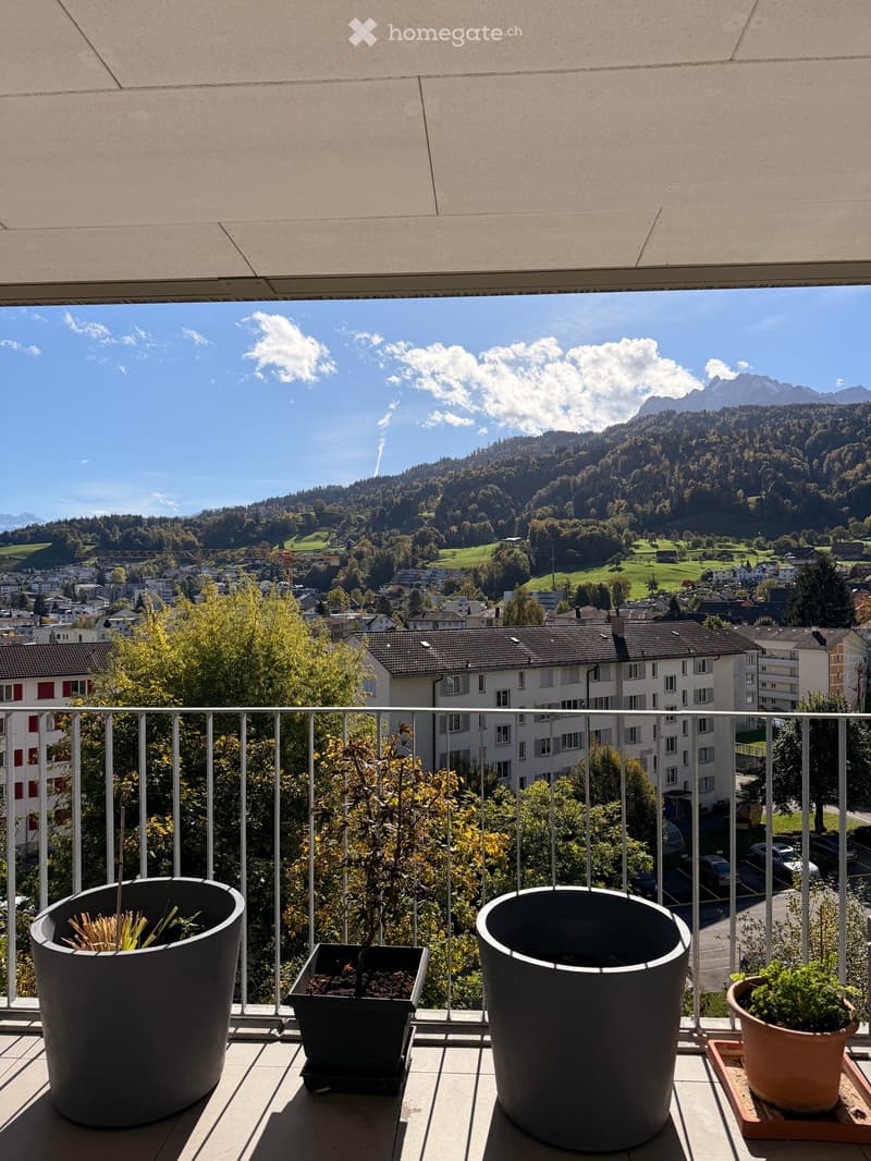 Helle 4.5-Zimmer-Wohnung in Kriens: ideal gelegen, Übernahme nach Vereinbarung (2)