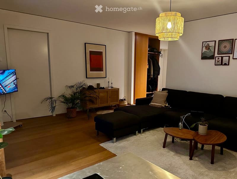 Modern living room with a black sectional sofa, ottoman, coffee tables, a television, a wooden cabinet, and decorative plants.