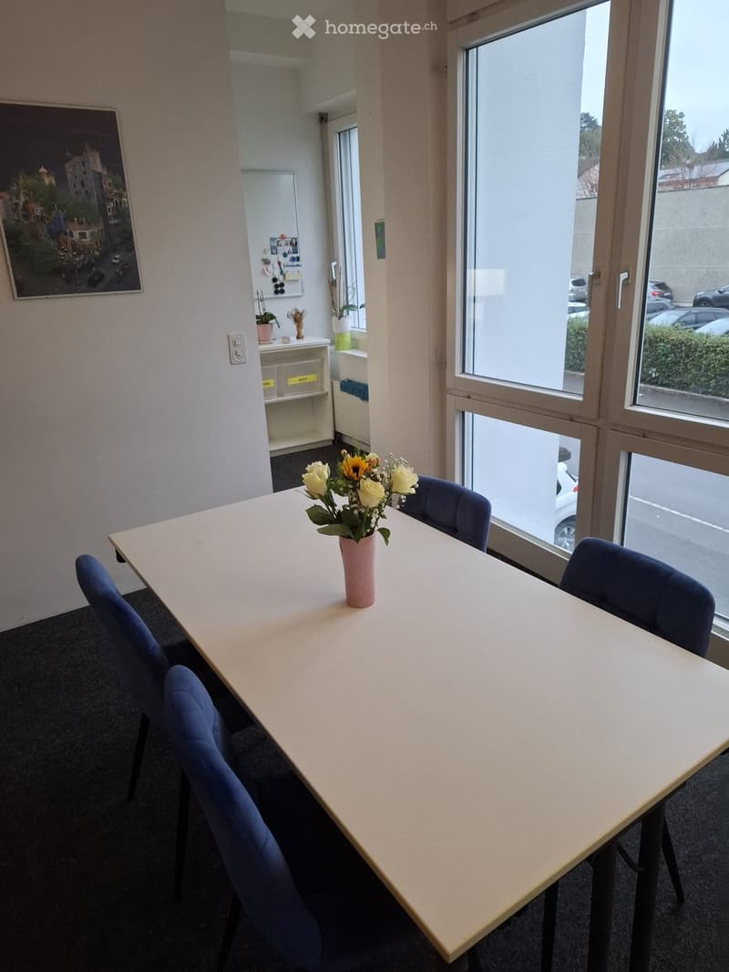 A well-lit room with a long wooden table surrounded by blue chairs, a vase with flowers, a shelf with potted plants, and a picture frame on the wall.