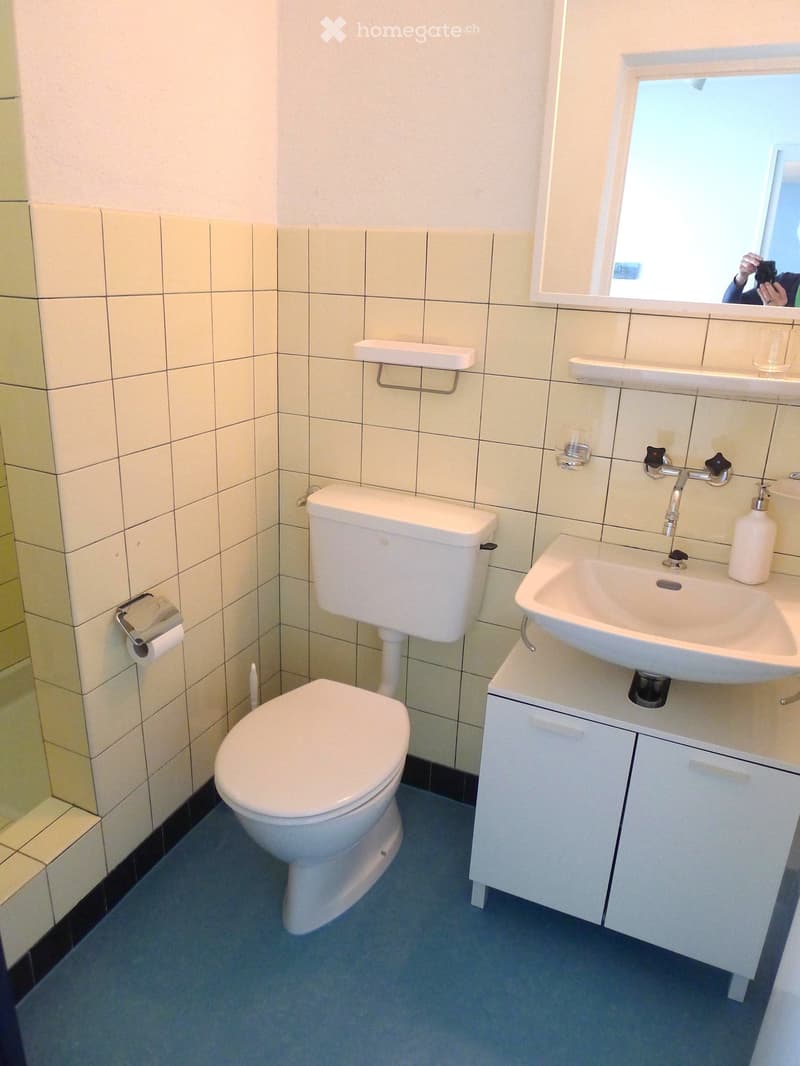 Modern bathroom with white tiled walls, a toilet, a sink with a mirror, and a soap dispenser. The floor is blue carpeted.