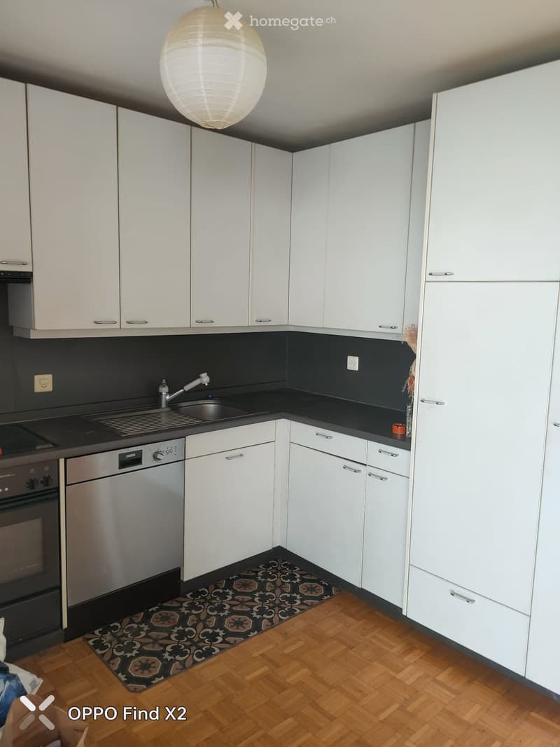 Modern kitchen with white cabinets, black countertops, stainless steel sink and dishwasher, and a patterned rug on the wooden floor.