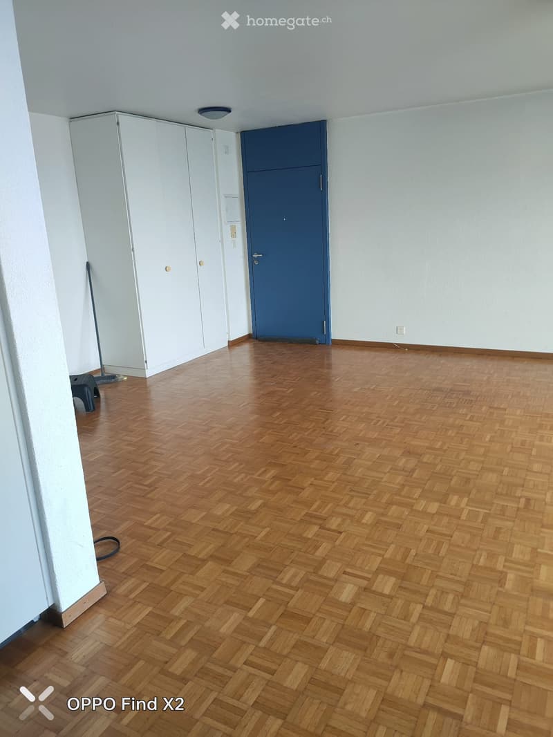 Empty room with wooden herringbone flooring, white walls, and a blue door. There are white built-in cabinets and a small black stool with a broom leaning against it.