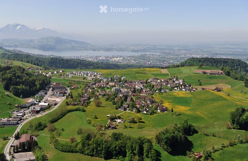 aerial view of a village, surrounded by green fields and trees, with mountains in the distance