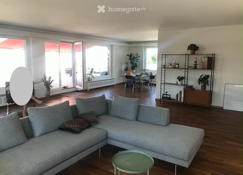 Open-plan living and dining area with wooden flooring, large windows, a grey sectional sofa, a green coffee table, a dining table with chairs, and a metal shelving unit with plants and decorative items.