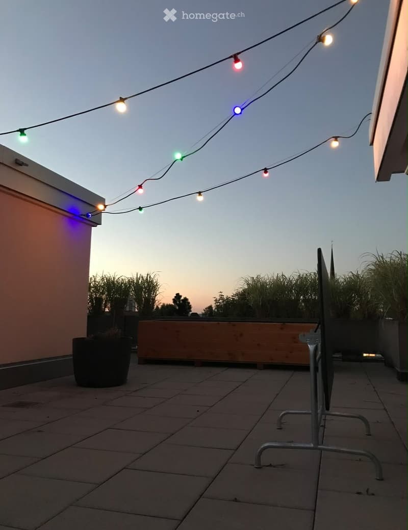 Roof terrace with tiled flooring, string lights, potted plants, and a wooden planter box.