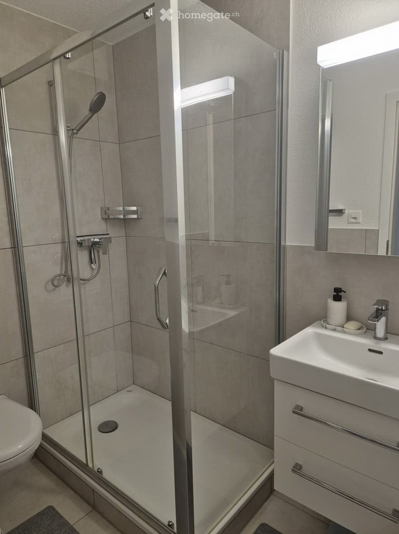 Modern bathroom with a glass-enclosed shower, toilet, sink, and mirror. Includes a soap dispenser, soap, and a towel on the floor.