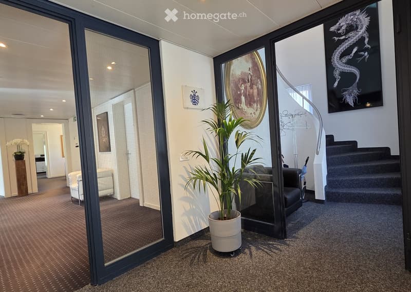 Modern hallway with carpeted floor, glass doors, potted plant, staircase, and artwork on walls.