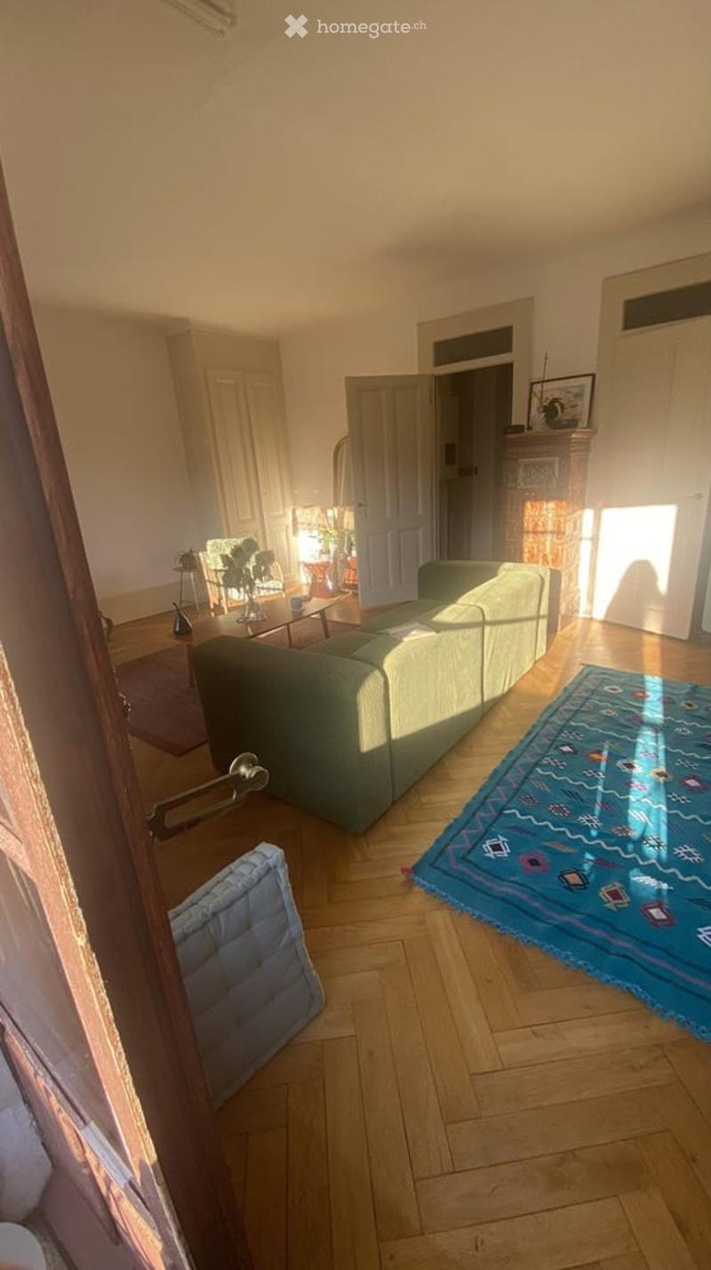 Living room with wooden flooring, green sofa, coffee table, colorful rug, fireplace, and plants in the background.