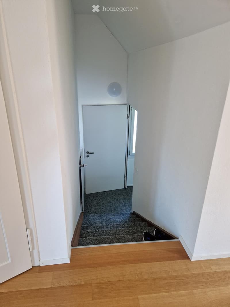 A narrow hallway with wooden flooring, white walls, and a closed door leading to another room. A pair of shoes is visible near the door.