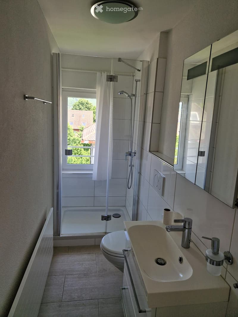 Modern bathroom with a sink, toilet, bathtub, and shower area. Features a large mirror, tiled walls, and a window with a view of greenery outside.