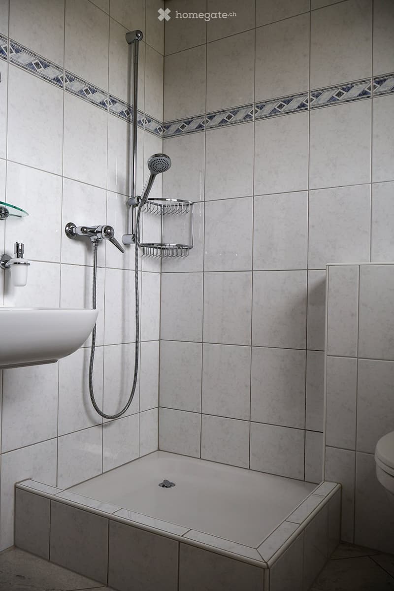 Modern bathroom with a shower area, tiled walls, a glass shelf, a sink, and a toilet.