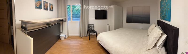 Grand-Lancy – Bel appartement meublé de 73 m² entièrement rénové (6)