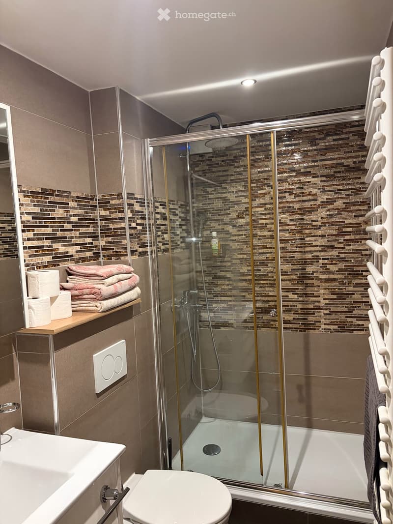 Grand-Lancy – Bel appartement meublé de 73 m² entièrement rénové (2)