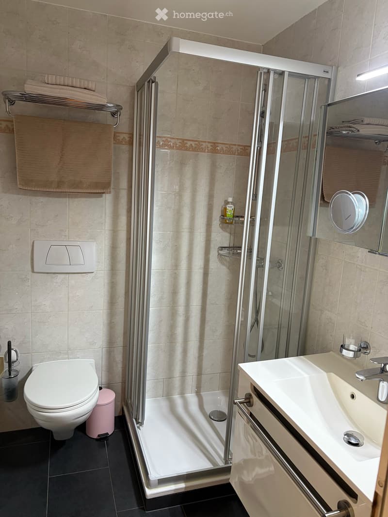 Grand-Lancy – Bel appartement meublé de 73 m² entièrement rénové (3)