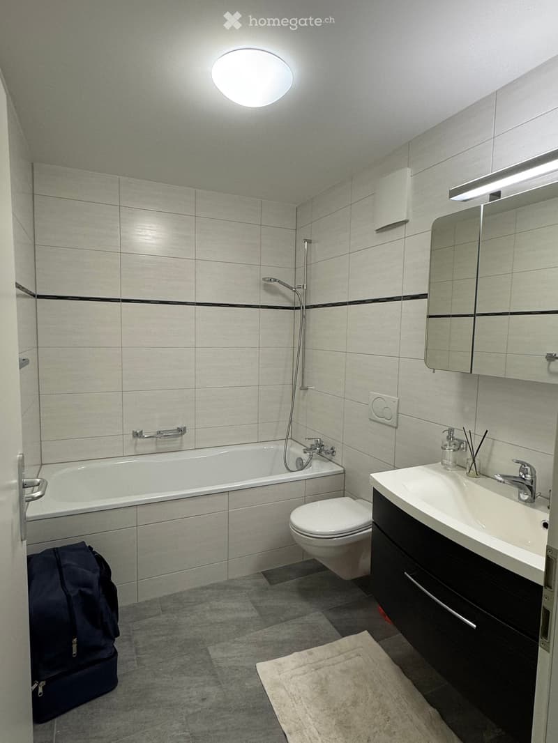 Bathroom with bathtub, toilet, sink, mirror, shower, and a rug.