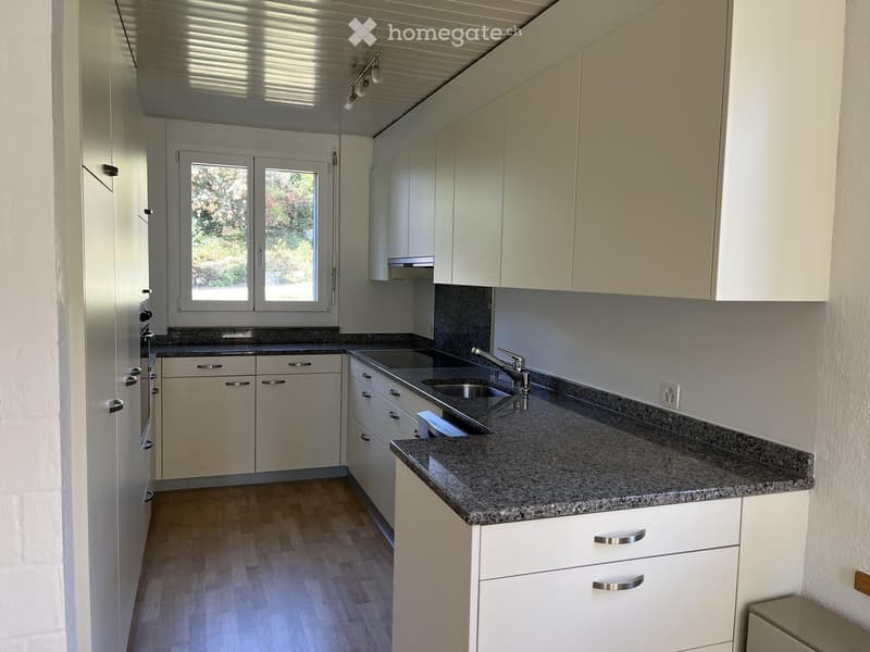Modern kitchen with white cabinets, granite countertop, stainless steel sink, and wooden flooring.