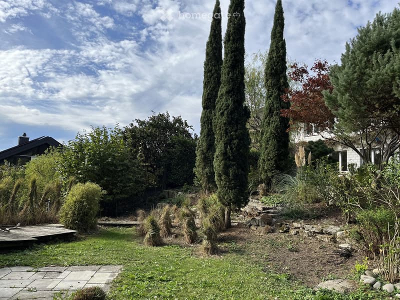 Well-maintained garden with tall coniferous trees, shrubs, and a paved pathway leading to a wooden deck.