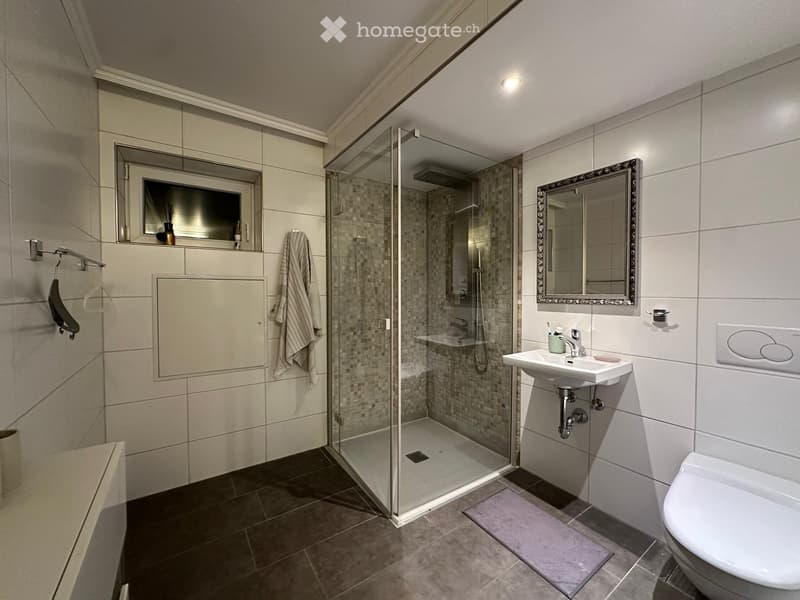 Modern bathroom with a glass-enclosed shower, a sink with a mirror, a toilet, and a towel hanging on the wall.