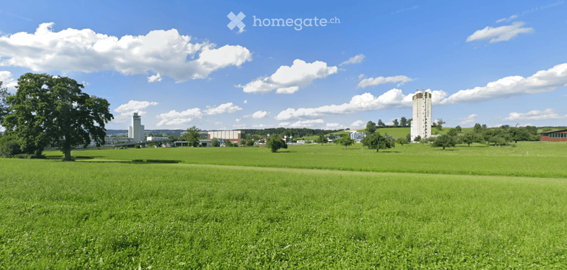 Open green field with scattered trees and distant buildings under a partly cloudy sky.