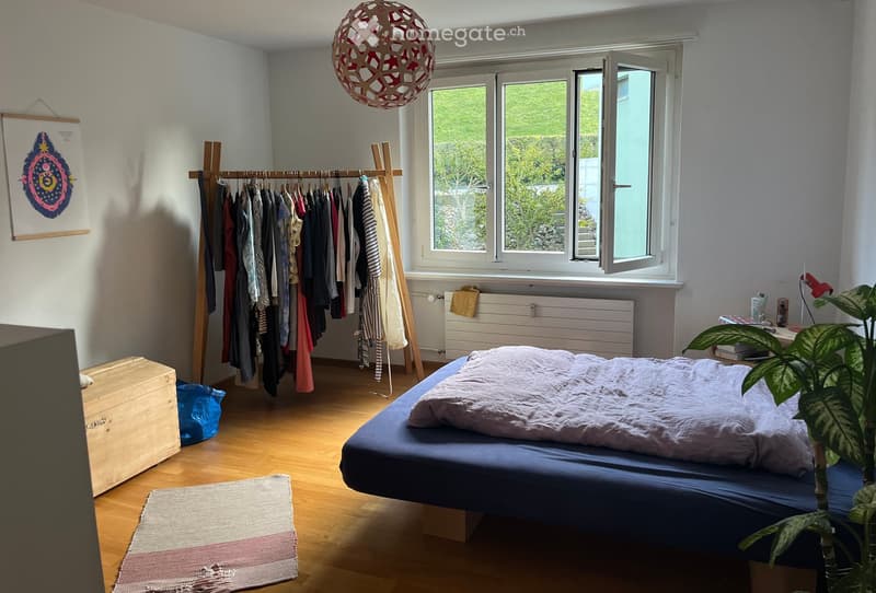 Cozy bedroom with a wooden floor, a bed with a blue mattress and white bedding, a clothing rack with hanging clothes, a small table with a plant, and a hanging geometric lamp.