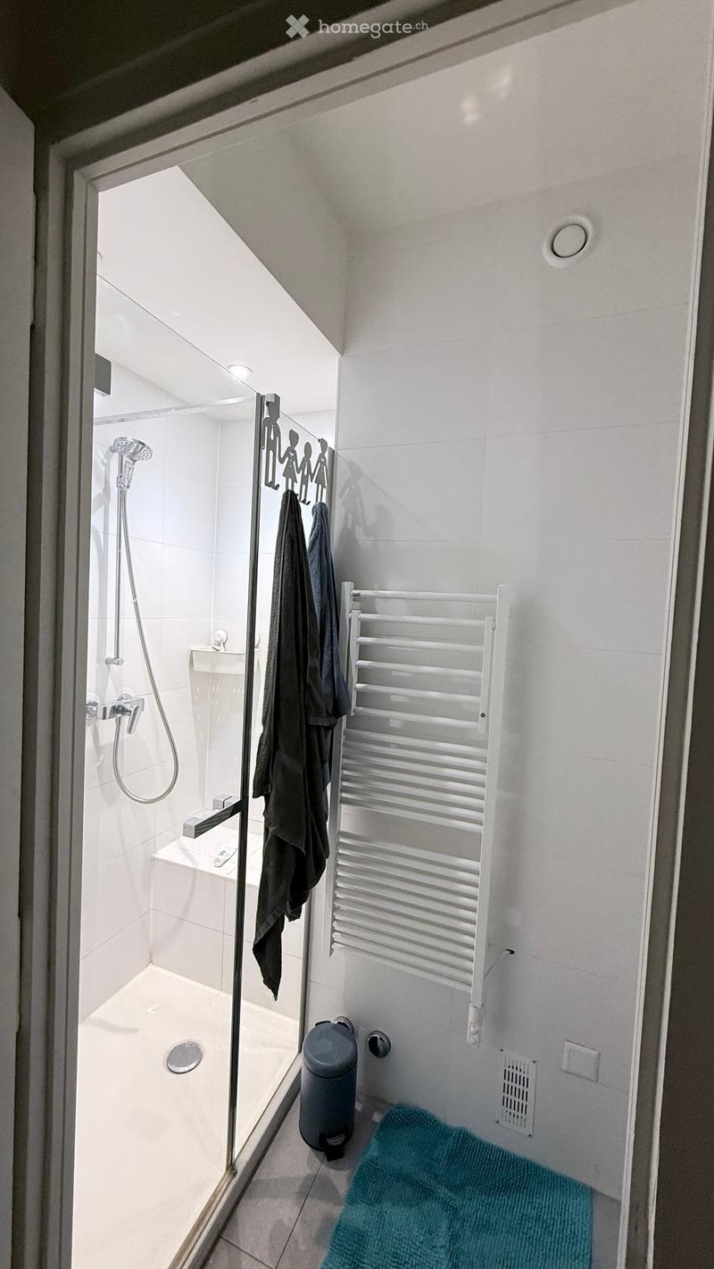 Modern, compact bathroom with a glass-enclosed shower, a radiator, a towel hanging on the door, and a small trash can.